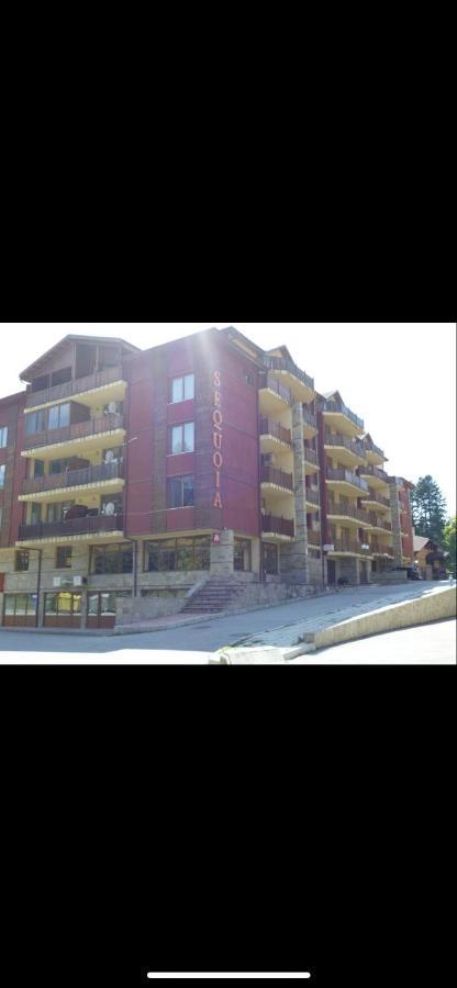 Borovets Home Sequoia מראה חיצוני תמונה