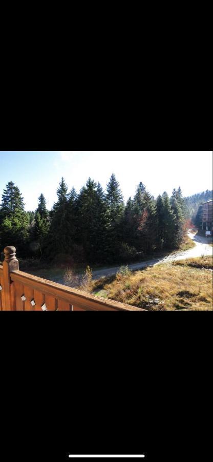 Borovets Home Sequoia מראה חיצוני תמונה
